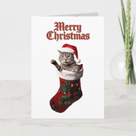 Tabby Christmas Strumpf Feiertagskarte