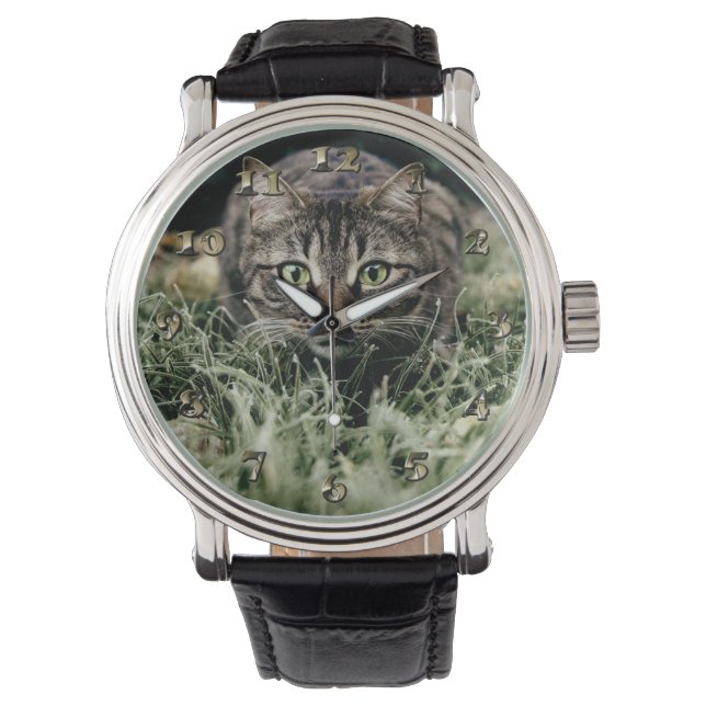 Tabby der Hauskatze Armbanduhr (Vorderseite)