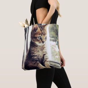 Tabby-Kätzchen-Aufpassen