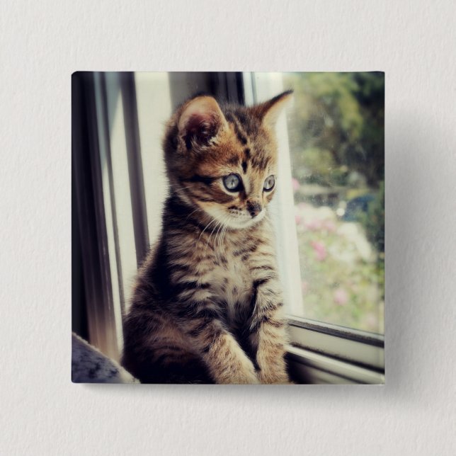 Tabby-Kätzchen-Aufpassen Button (Vorderseite)