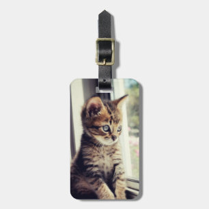 Tabby-Kätzchen-Aufpassen Gepäckanhänger