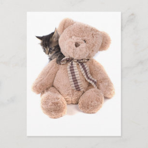 Tabby-Kätzchen, die mit einem Teddybär spielen Postkarte