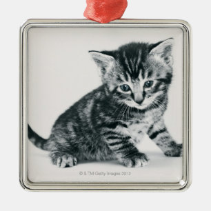 Tabby-Kätzchen Ornament Aus Metall