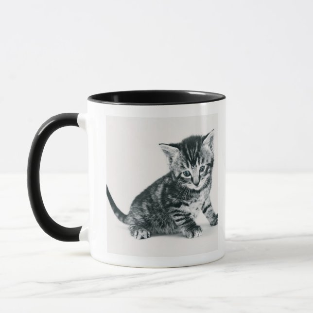 Tabby-Kätzchen Tasse (Links)