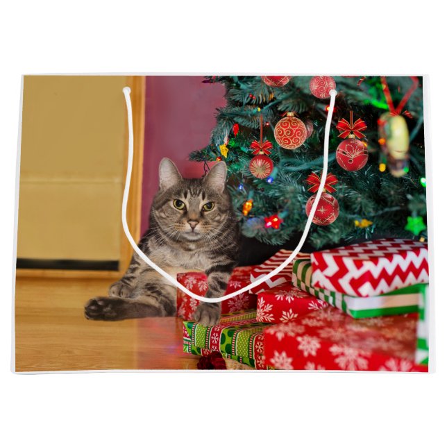 Tabby-Kätzchen Weihnachten Große Geschenktüte (Vorderseite)
