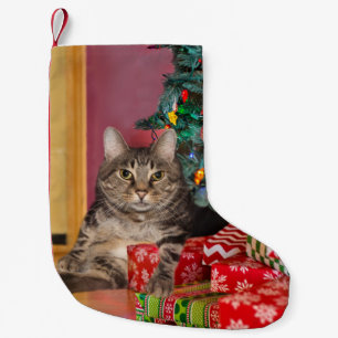 Tabby-Kätzchen Weihnachten Kleiner Weihnachtsstrumpf