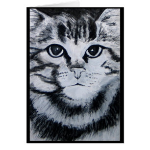 Tabby-Katze