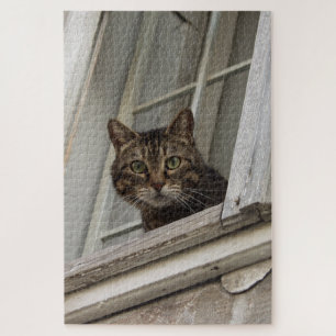 Tabby Katze, die dich vom Fenster aus beobachtet Puzzle