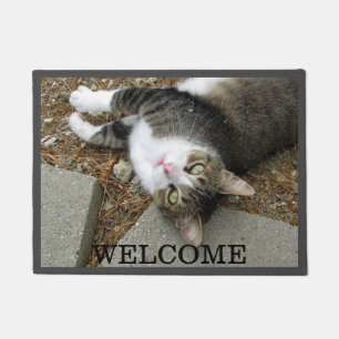 Tabby Katze, die Sie gefunden haben Fußmatte