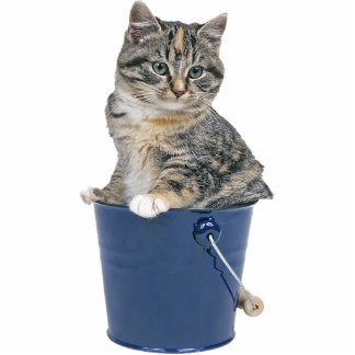 Tabby-Katze Freistehende Fotoskulptur