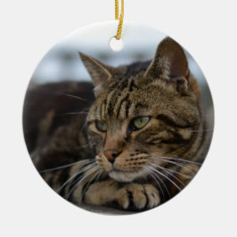 Tabby-Katze handlungsbereit Keramik Ornament