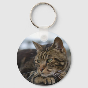 Tabby-Katze handlungsbereit Schlüsselanhänger
