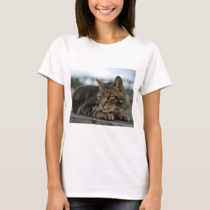 Tabby-Katze handlungsbereit T-Shirt