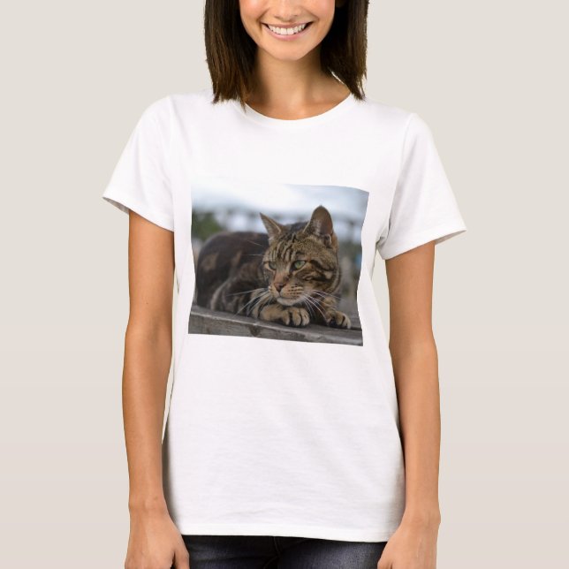 Tabby-Katze handlungsbereit T-Shirt (Vorderseite)