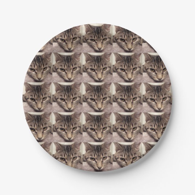 Tabby Katze-Instagram durch Shirley Taylor Pappteller (Vorderseite)