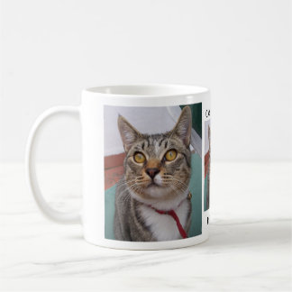 Tabby-Katze kann ich irgendeine Kaffee-Tasse des Tasse