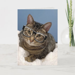 Tabby Katze mit Augenbrille Karte