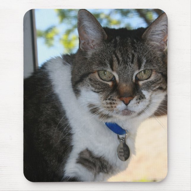 Tabby-Katze mit Hübscher Augen-Maus-Pad Mousepad (Vorne)