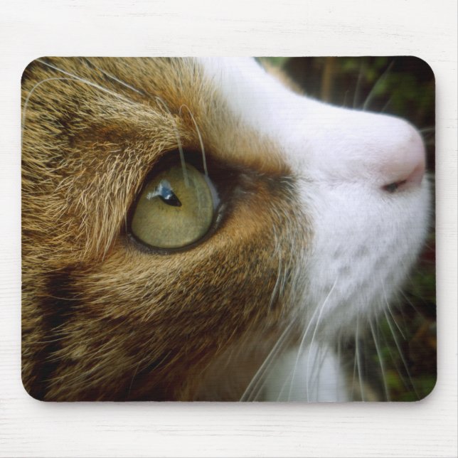 Tabby-Katze Mousepad (Vorne)