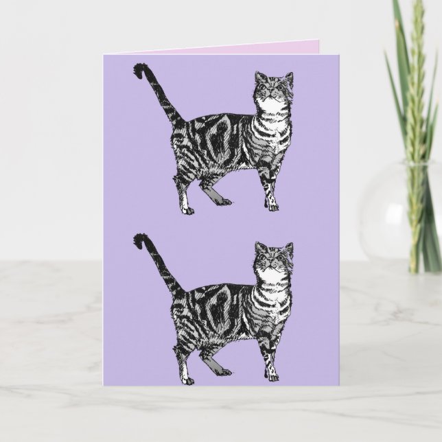 Tabby Katze Niedlich Katzen Rosa Kunst Zeichnend G Karte (Vorderseite)