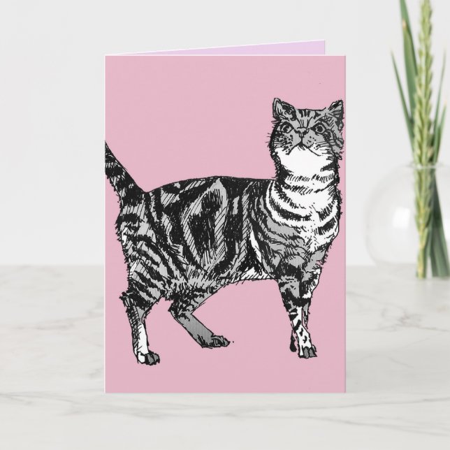 Tabby Katze Niedlich Katzen Rosa Kunst Zeichnend G Karte (Vorderseite)