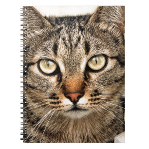 Tabby-Katze Notizblock