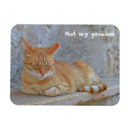 Tabby Katze Ruhe in Dubrovnik Nicht mein Problem! Magnet