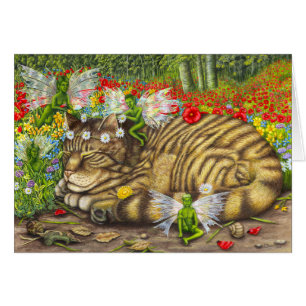 Tabby Katze und Fee