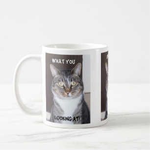 Tabby-Katze was Sie, Kaffee-Tasse schauend Tasse