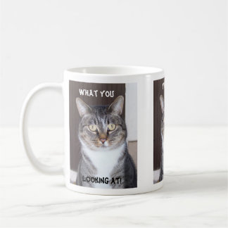 Tabby-Katze was Sie, Kaffee-Tasse schauend Tasse