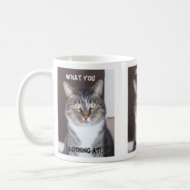 Tabby-Katze was Sie, Kaffee-Tasse schauend Tasse (Links)
