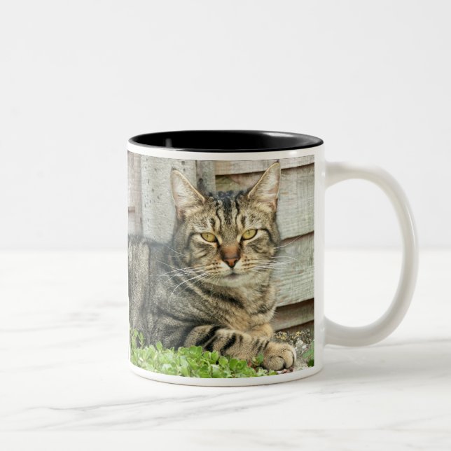 Tabby-Katze Zweifarbige Tasse (Rechts)