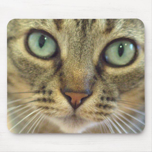 Tabby-Katzen-Gesichts-nahes hohes Mousepad (Vorne)