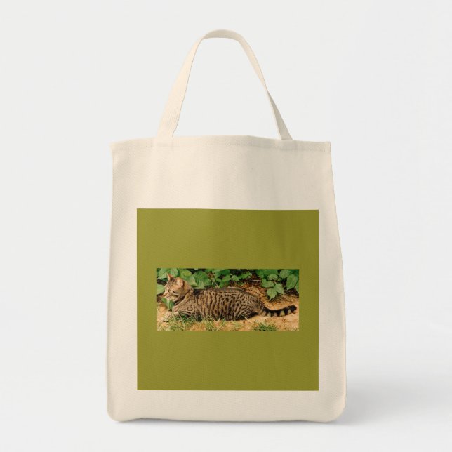 Tabby-Katzen-Leinwandtasche Tragetasche (Vorne)
