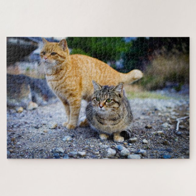 Tabby-Katzen-Puzzle  Puzzle (Horizontal)