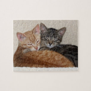 Tabby-Katzen-Puzzle Puzzle