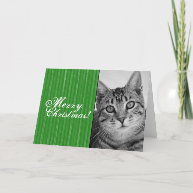 Tabby-Katzen-Weihnachtskarte Feiertagskarte (Vorderseite)