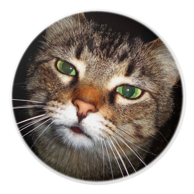 Tabby-Katzen-Zug Keramikknauf (Vorderseite)