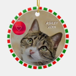 Tabby-Katzenrahmen, Foto und Rot Keramik Ornament