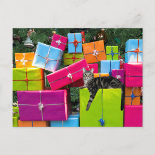 Tabby kitcat Christmas Postkarte