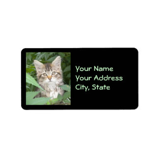 Tabby Kitten Address Labels Adressaufkleber