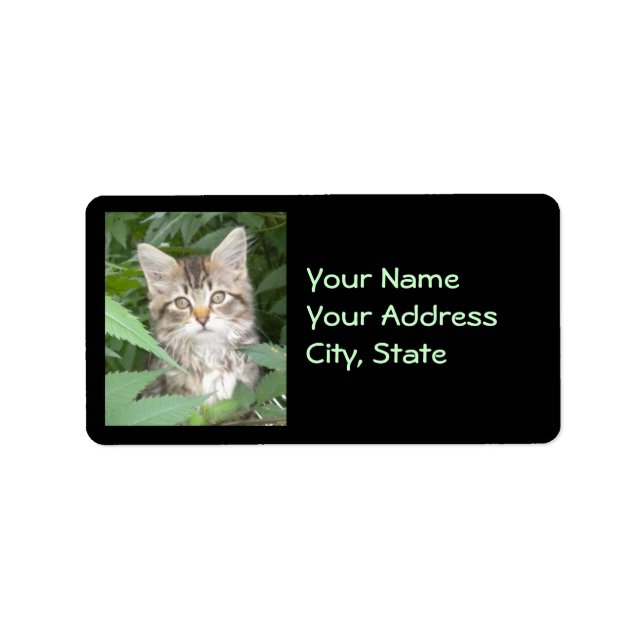 Tabby Kitten Address Labels Adressaufkleber (Vorne)