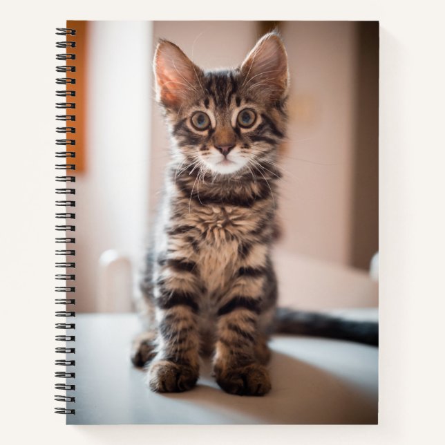 Tabby Kitten auf dem Tisch Notizbuch (Vorderseite)