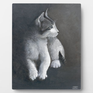 Tabby Kitten Fotoplatte
