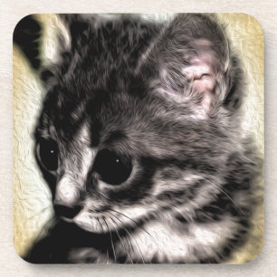 Tabby Kitten Getränkeuntersetzer
