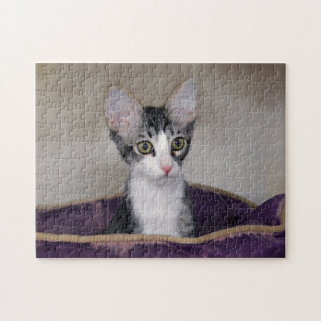 Tabby Kitten in einem Lila Bett Puzzle (Horizontal)