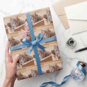 Tabby Kitten in Faltschachtel Geschenkpapier