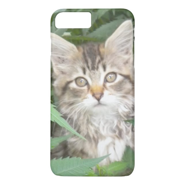 Tabby Kitten iPhone 7 plus Gehäuse Case-Mate iPhone Hülle (Rückseite)
