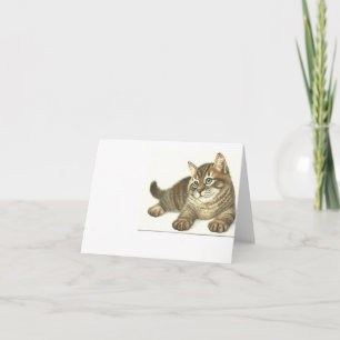 Tabby Kitten Karte