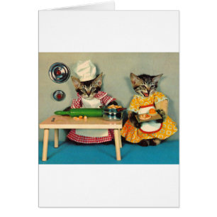 Tabby Kitten Koch und Tabby Kitten Assistentin